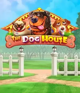 Pragmatic Play's The Dog House adventure, featuring a fun-filled experience into the world of lovable dogs. Discover features such as sticky wilds, perfect for delivering joyful moments. A must-try for pet lovers a lighthearted atmosphere alongside lucrative rewards.